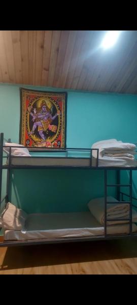 Area51 cafeandfarmstay